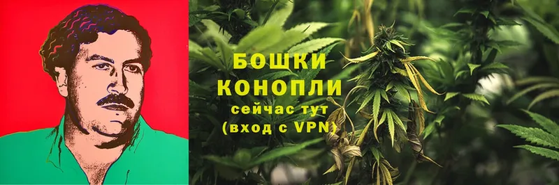 Шишки марихуана SATIVA & INDICA  Курганинск 